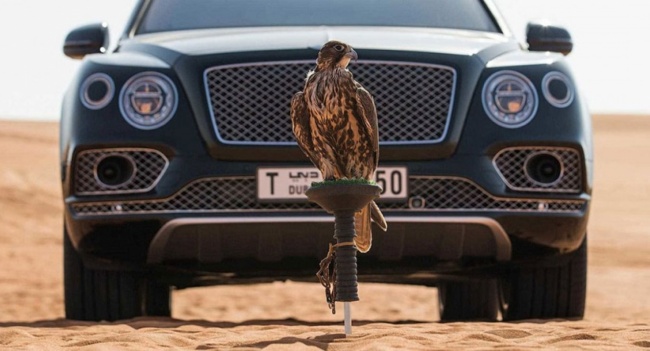 Bentley Вentayga Falconry