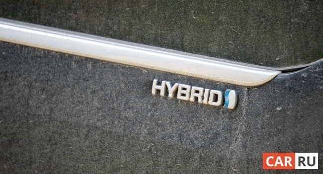 шильдик, гибрид, hybrid