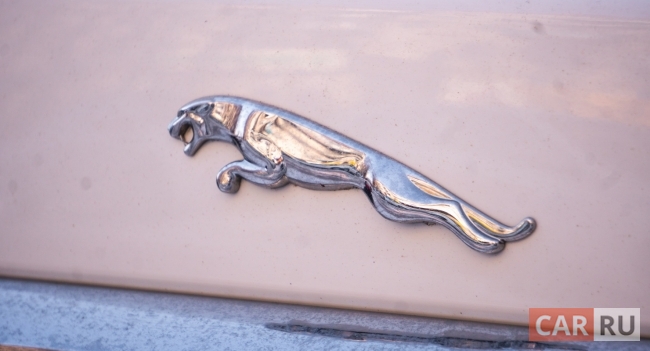 jaguar, ягуар, эмблема