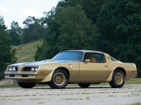 Pontiac Firebird, 2 поколение [3-й рестайлинг], Trans am gold special edition t-roof тарга 2-дв., 1977–1978