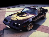 Pontiac Firebird, 2 поколение [4-й рестайлинг], Trans am t-roof тарга, 1979–1981