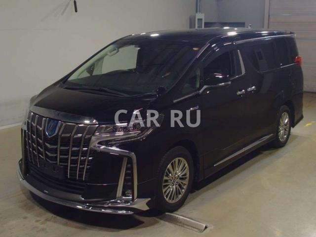 Toyota Alphard, Сочи