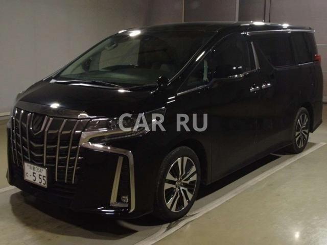 Toyota Alphard, Санкт-Петербург