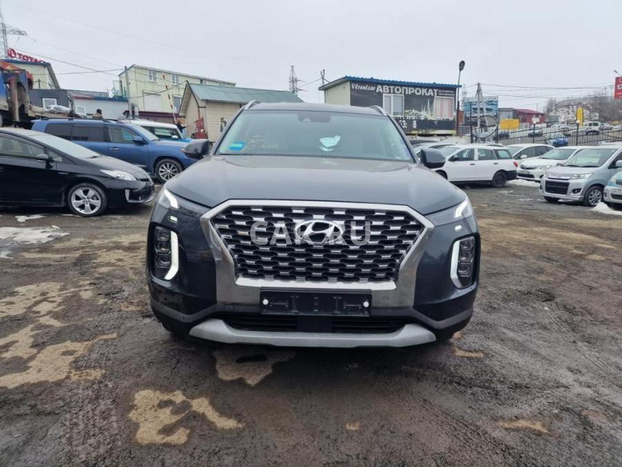 Hyundai Palisade, Видное